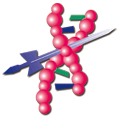 BIT's 3<sup>rd</sup> World Cancer Congress- Breast Cancer Congress